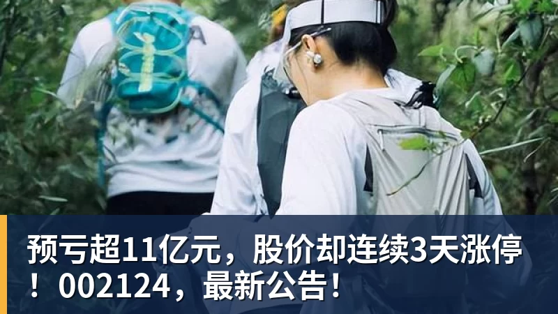 预亏超11亿元，股价却连续3天涨停！002124，最新公告！