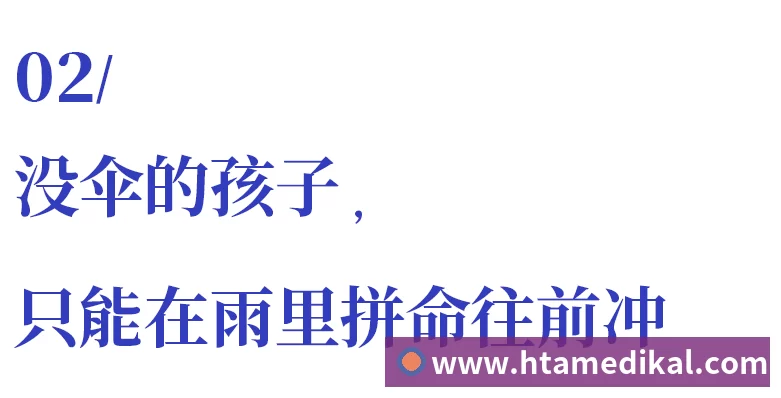 奖项证书